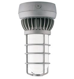 RAB, Ceiling Mount, LED Light Fixture
