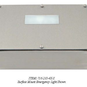 CJA Emergency Light Nema 4, 6VDC, Surface Mount